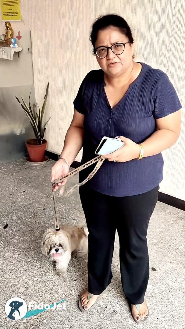 Customer Testimonial - Domestic Move