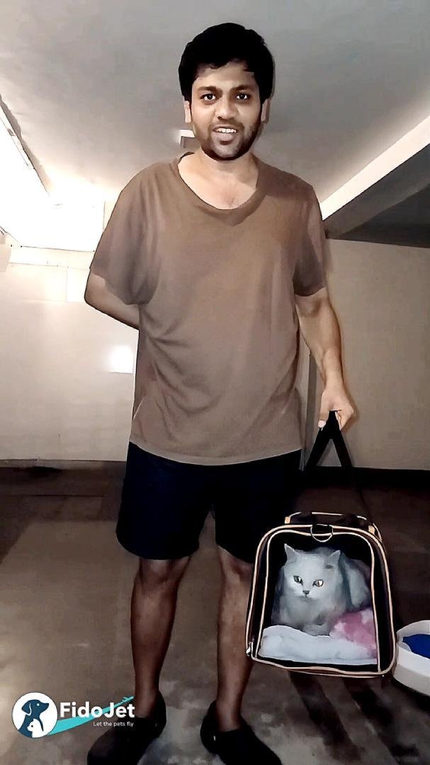 Customer Testimonial - International Relocation