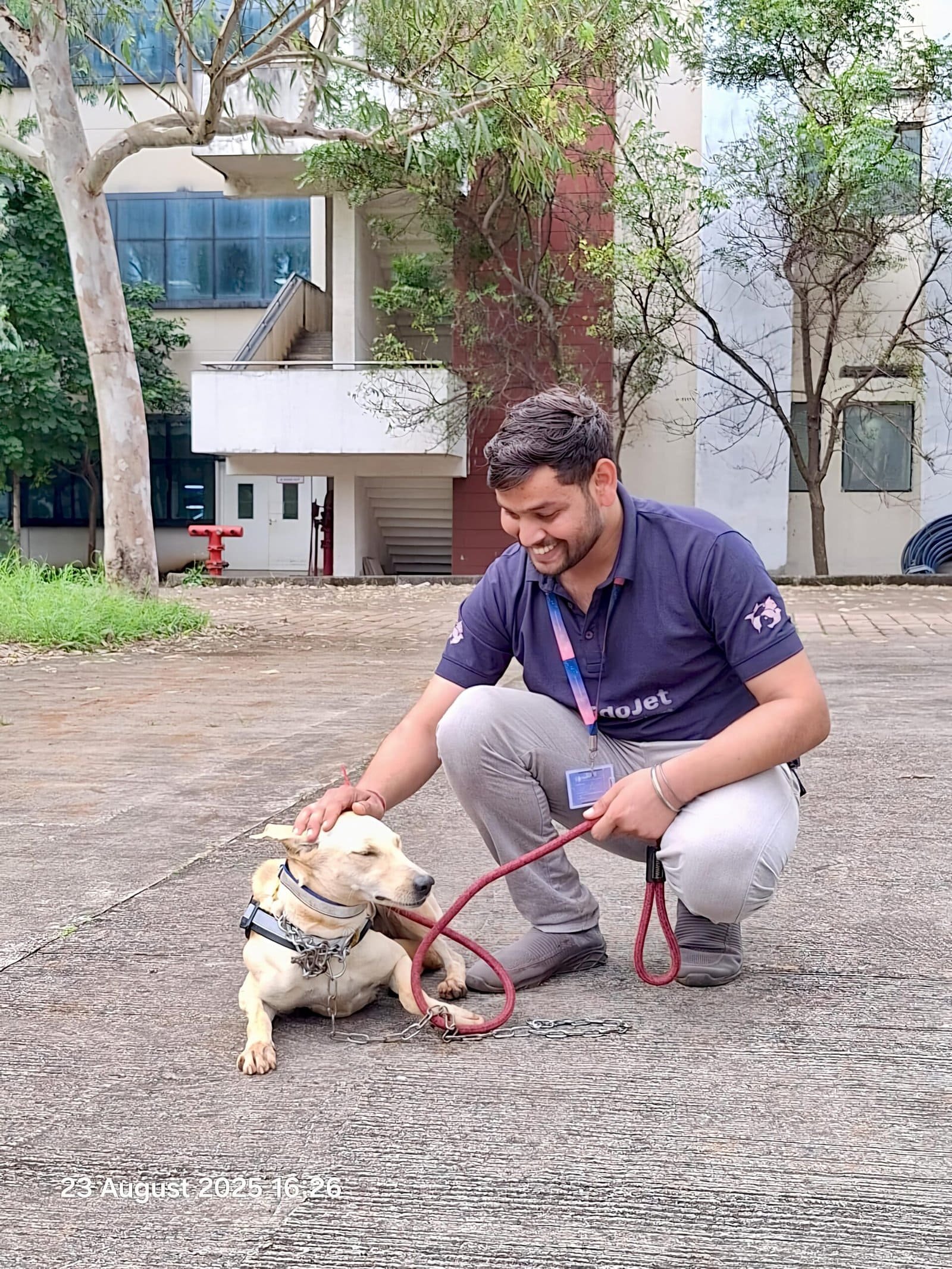 FidoJet handler reassuring a calm Labrador before travel