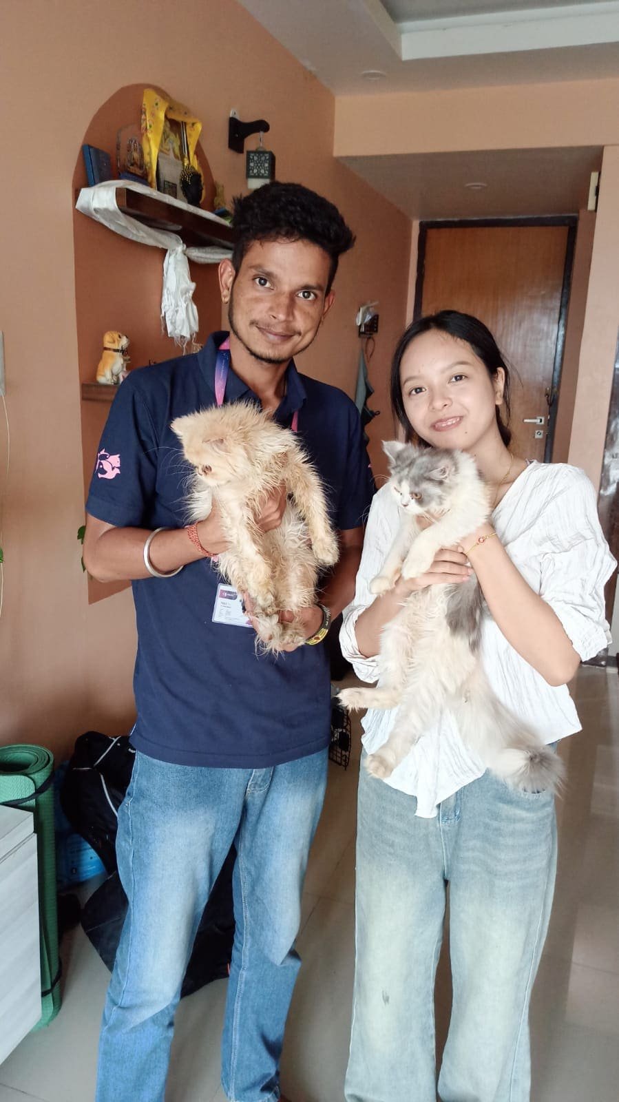 FidoJet handler with a happy customer and their two Persian cats at home