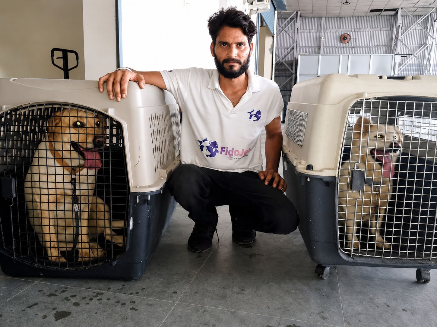 IATA-compliant pet travel crates ready at the airport